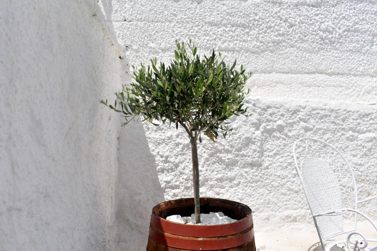 The Greek Side Of Life! Vila Artemida (Attica)